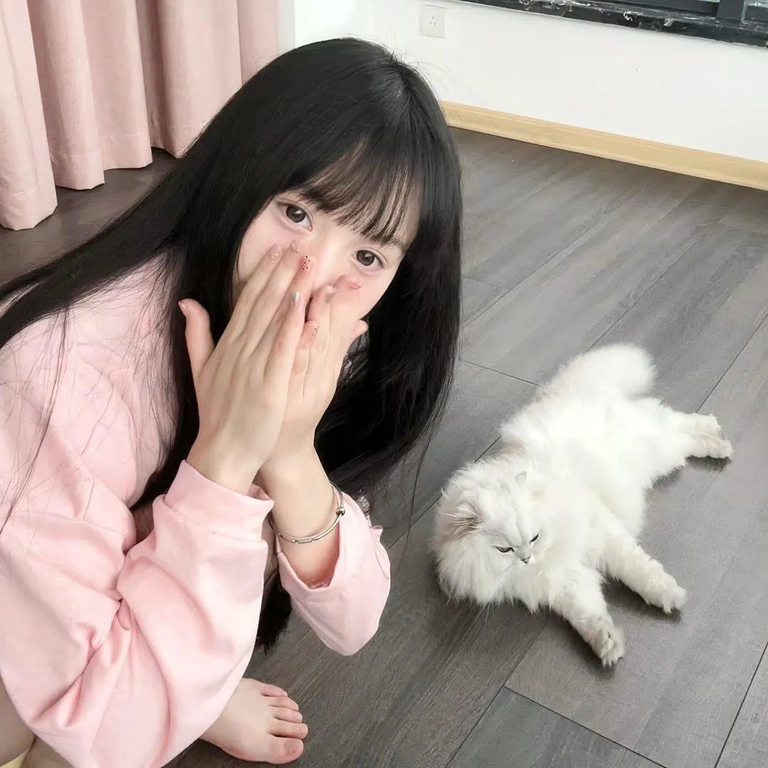 开局四个美相公 动态漫画第二季